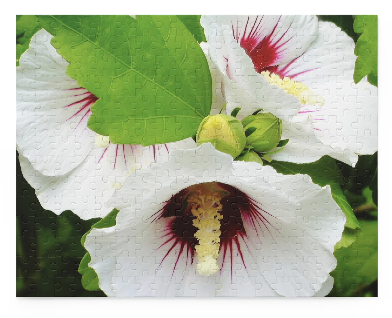 rose of sharon flower puzzle